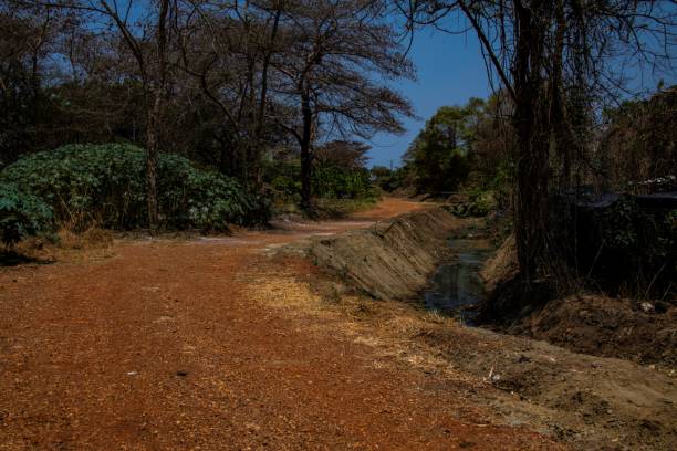 dirt road along a canal in South Sudan