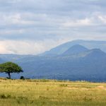 Savannah at Murchison Falls National Park Safari Reserve in Uganda - The Pearl of Africa