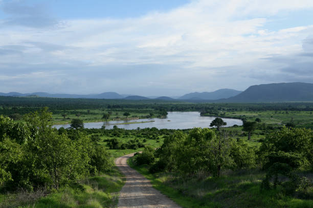 African savannah summer pictrures wild safari Tanzania Rwanda Botswana Kenya