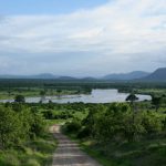 African savannah summer pictrures wild safari Tanzania Rwanda Botswana Kenya
